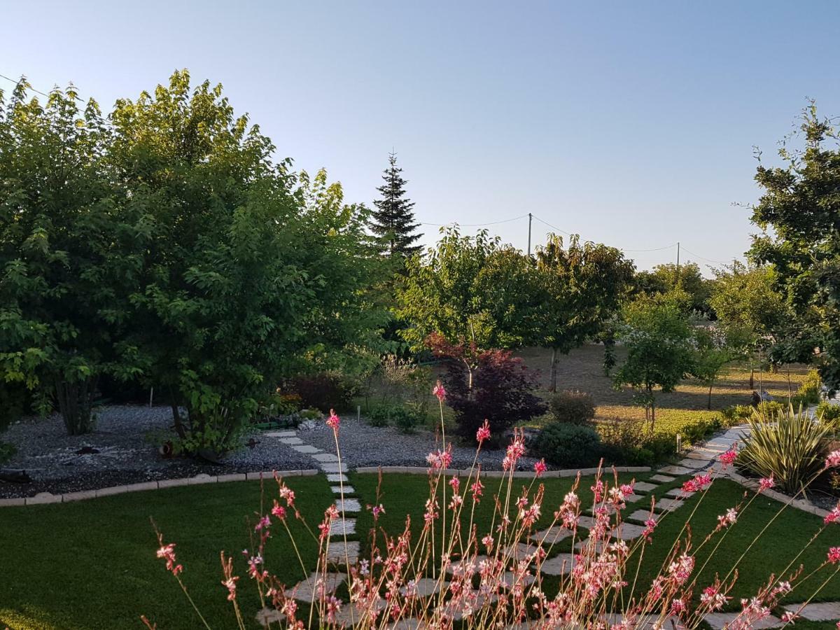 M&A Relax Villa Martina Franca Bagian luar foto